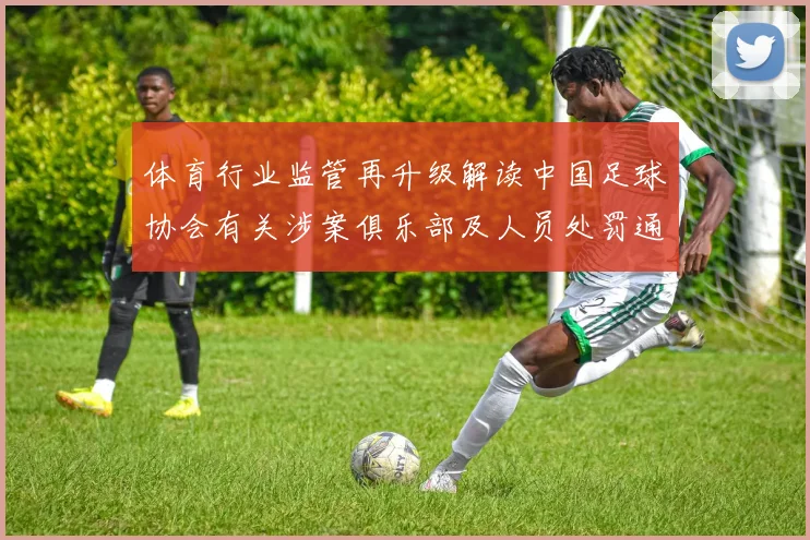 体育行业监管再升级解读中国足球协会有关涉案俱乐部及人员处罚通报